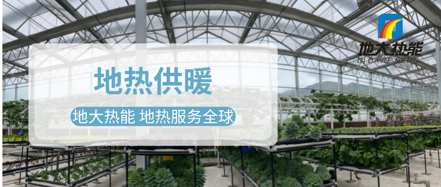 發(fā)揮地熱資源優(yōu)勢，地熱農(nóng)業(yè)實現(xiàn)花卉產(chǎn)業(yè)特色發(fā)展 | 地大熱能 地熱服務全球